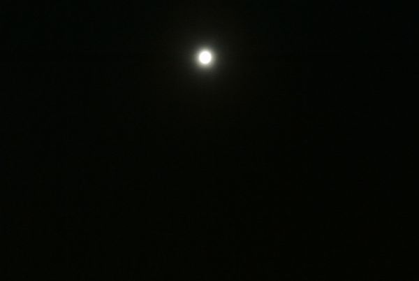 f0006510_145596.jpg