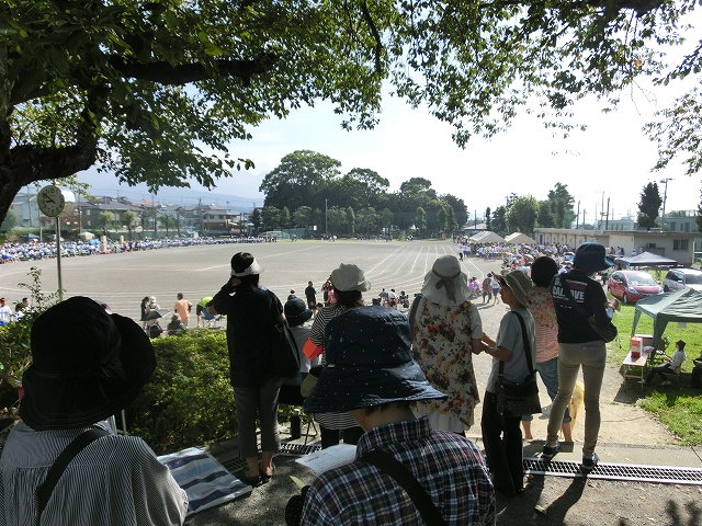 f0141310_7325665.jpg