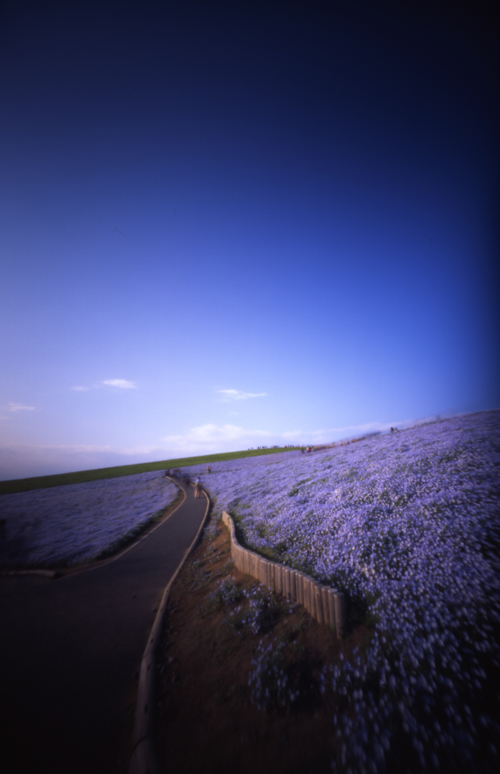 c0016712_1574975.jpg