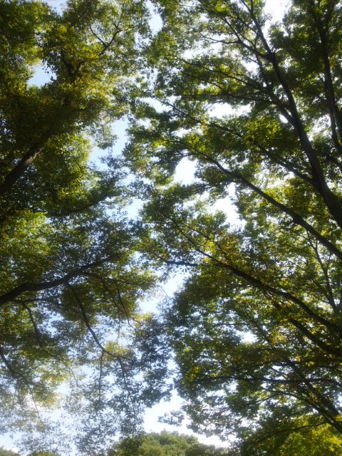 b0150018_927373.jpg