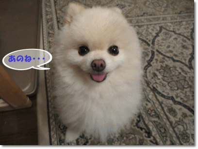 b0167519_22442445.gif