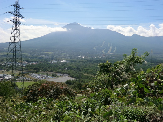 d0221319_20335274.jpg