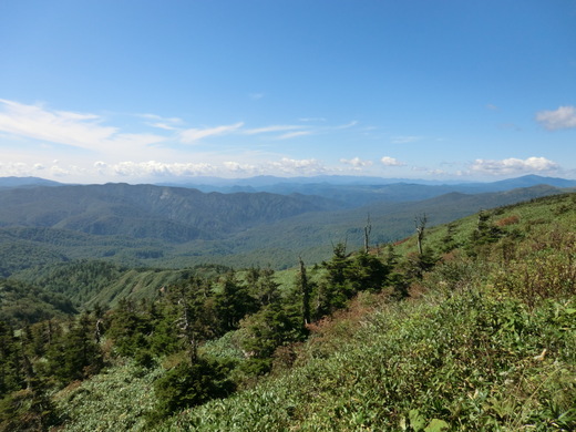 d0221319_20382127.jpg