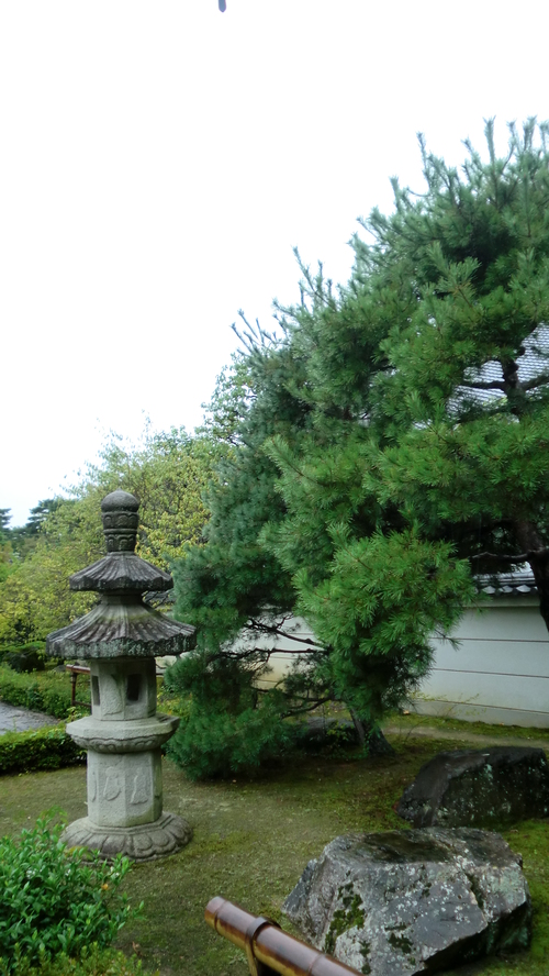 b0186321_17131371.jpg