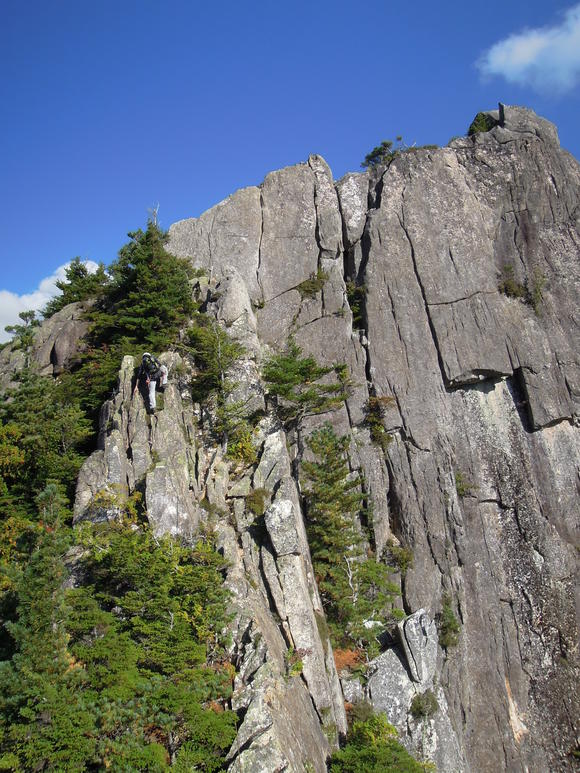 e0242423_5381682.jpg