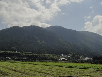 c0189724_19362863.jpg