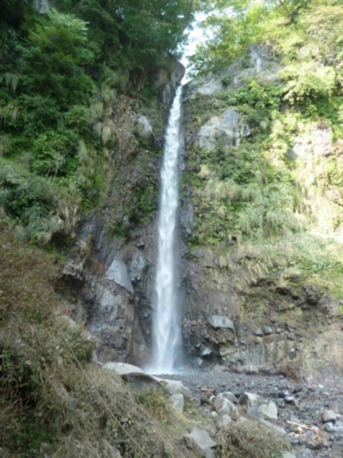 e0033229_21134499.jpg