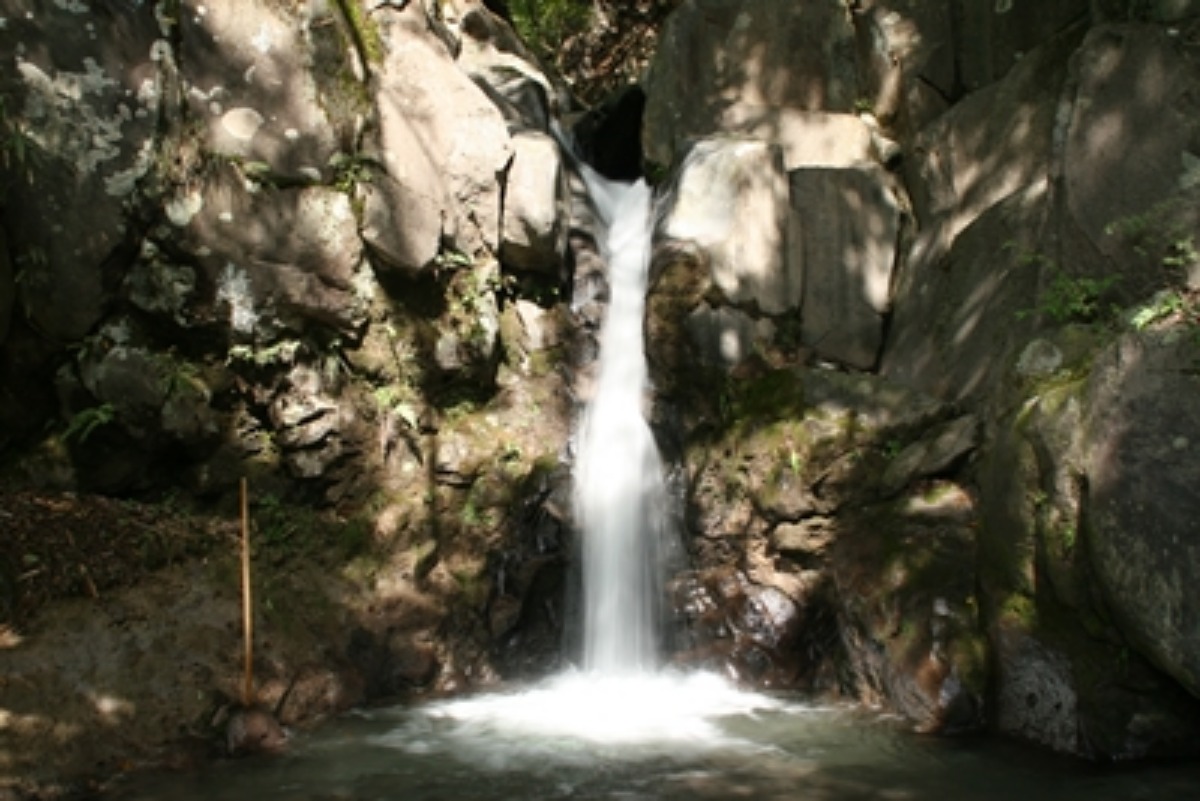 e0033229_21204329.jpg