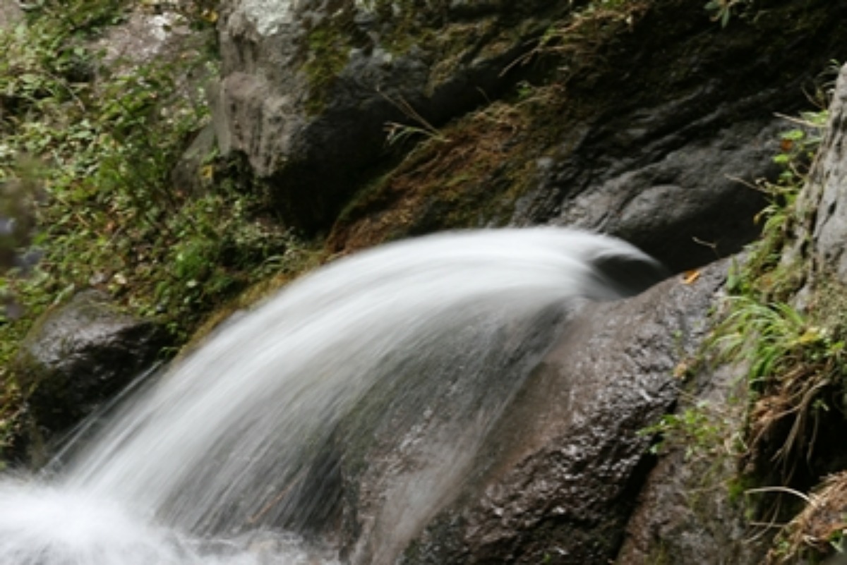 e0033229_2136138.jpg