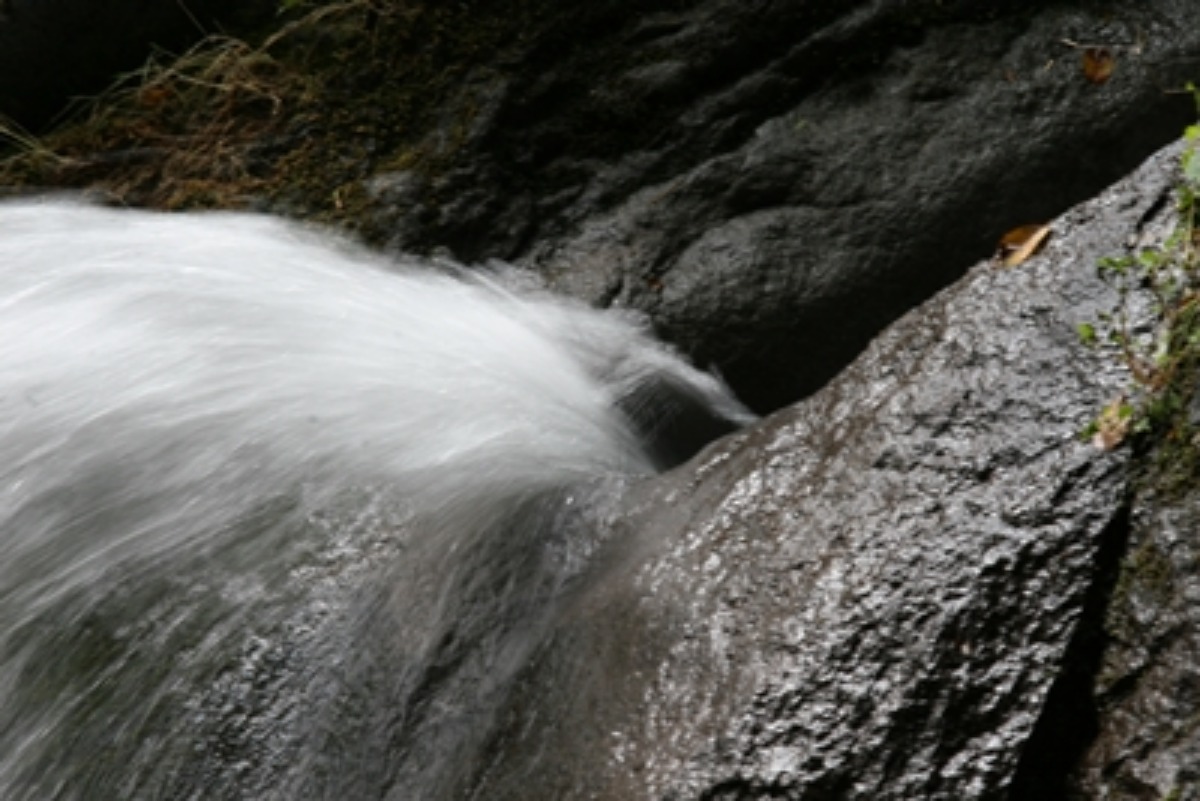e0033229_21371740.jpg