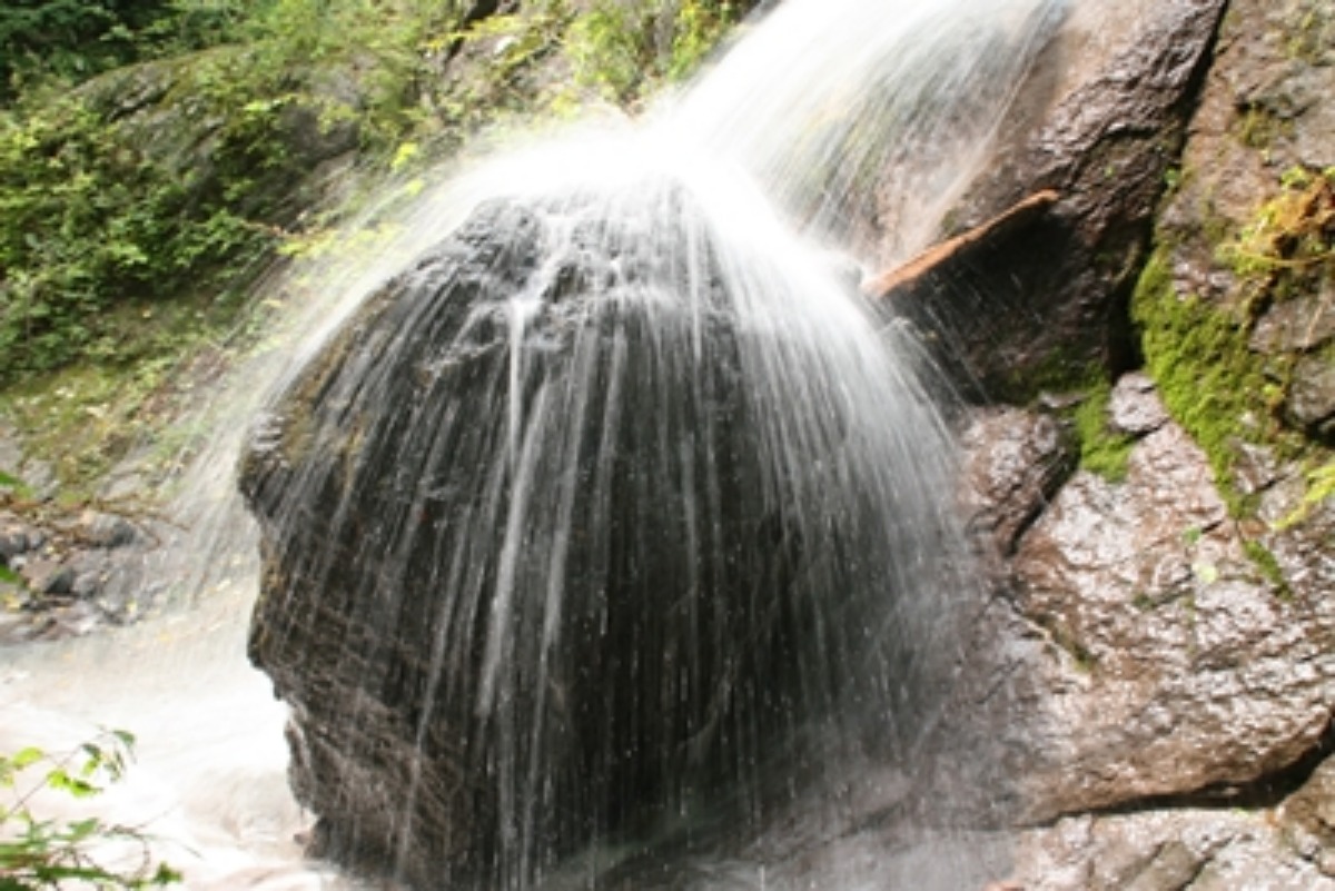 e0033229_21383324.jpg