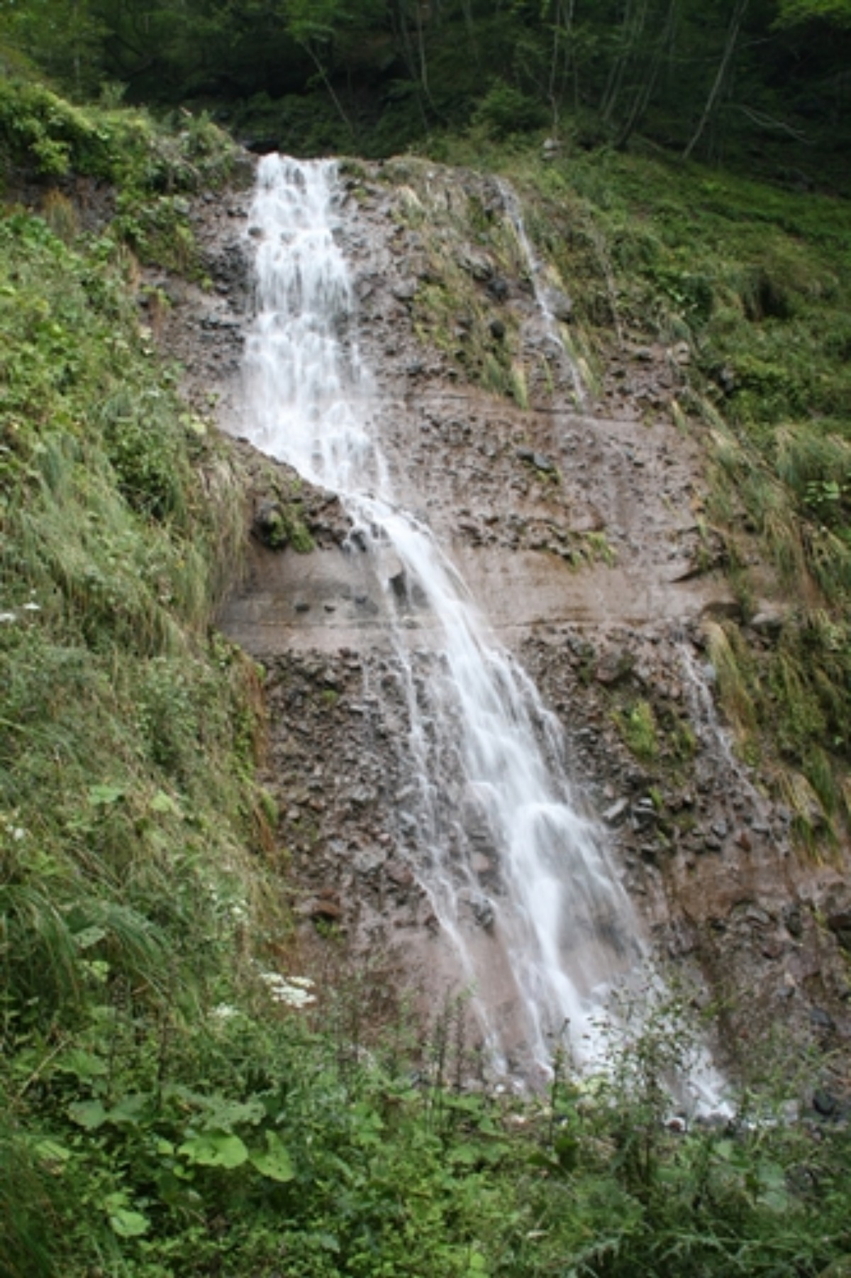e0033229_2144631.jpg