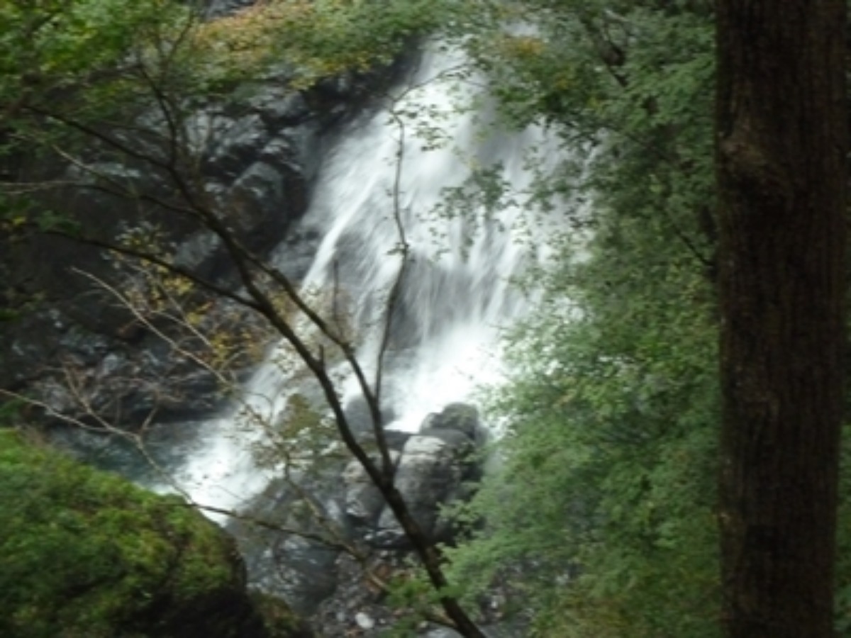 e0033229_21504874.jpg