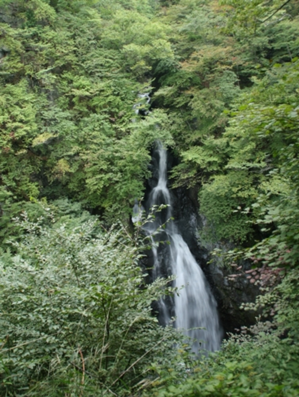 e0033229_2150535.jpg