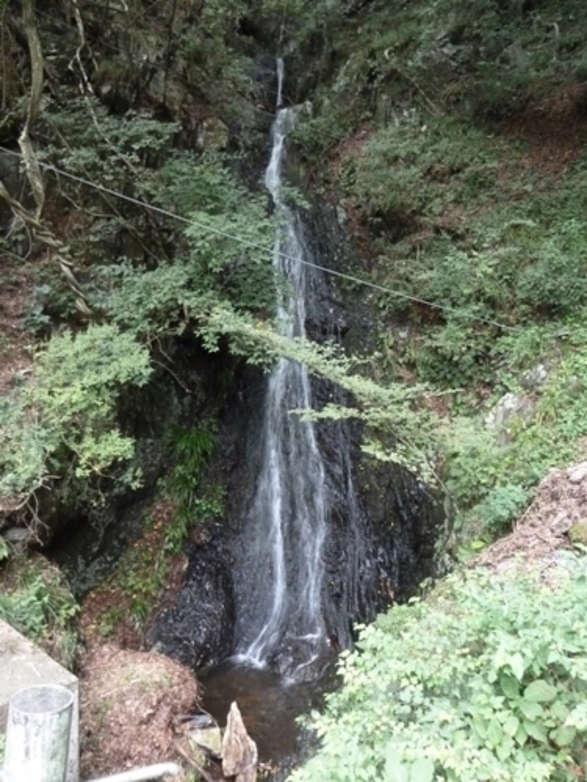 e0033229_21541550.jpg