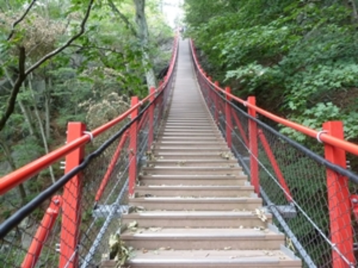 e0033229_22584628.jpg