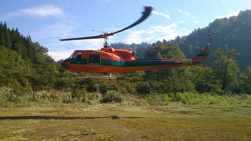 a0119132_1794946.jpg