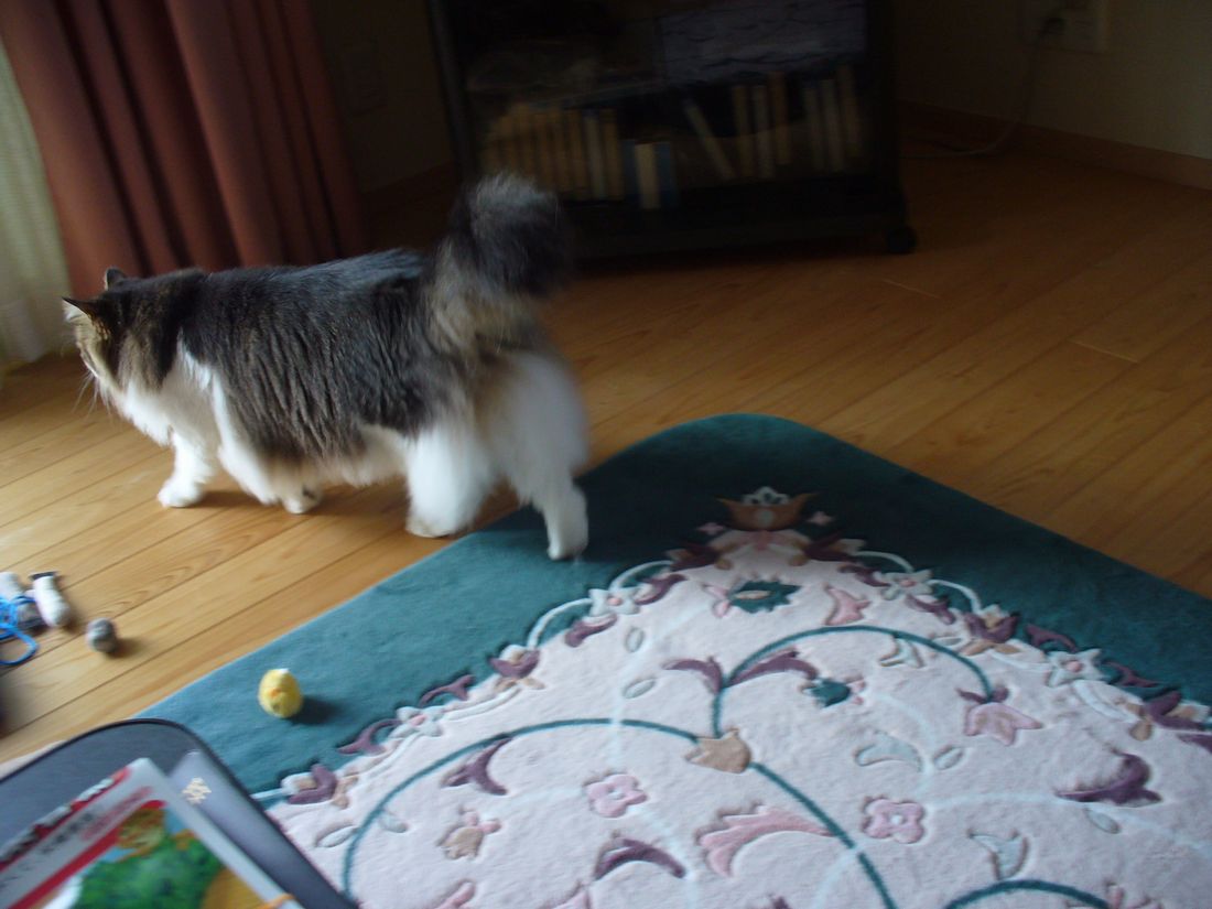 f0275632_2362254.jpg