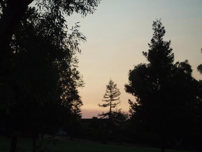 b0198033_7252419.jpg