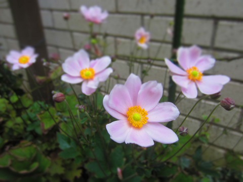 f0002833_19294466.jpg