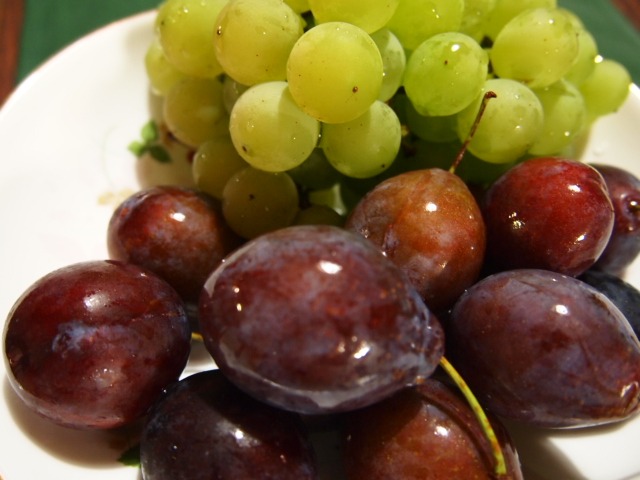 c0117239_11224213.jpg