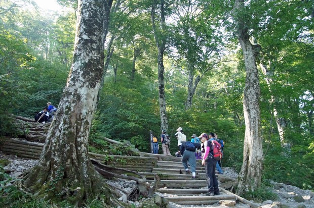 f0214649_17383576.jpg