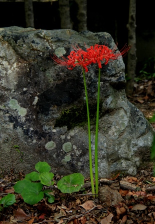 d0163550_22104915.jpg