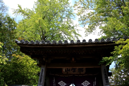 d0163550_22134661.jpg