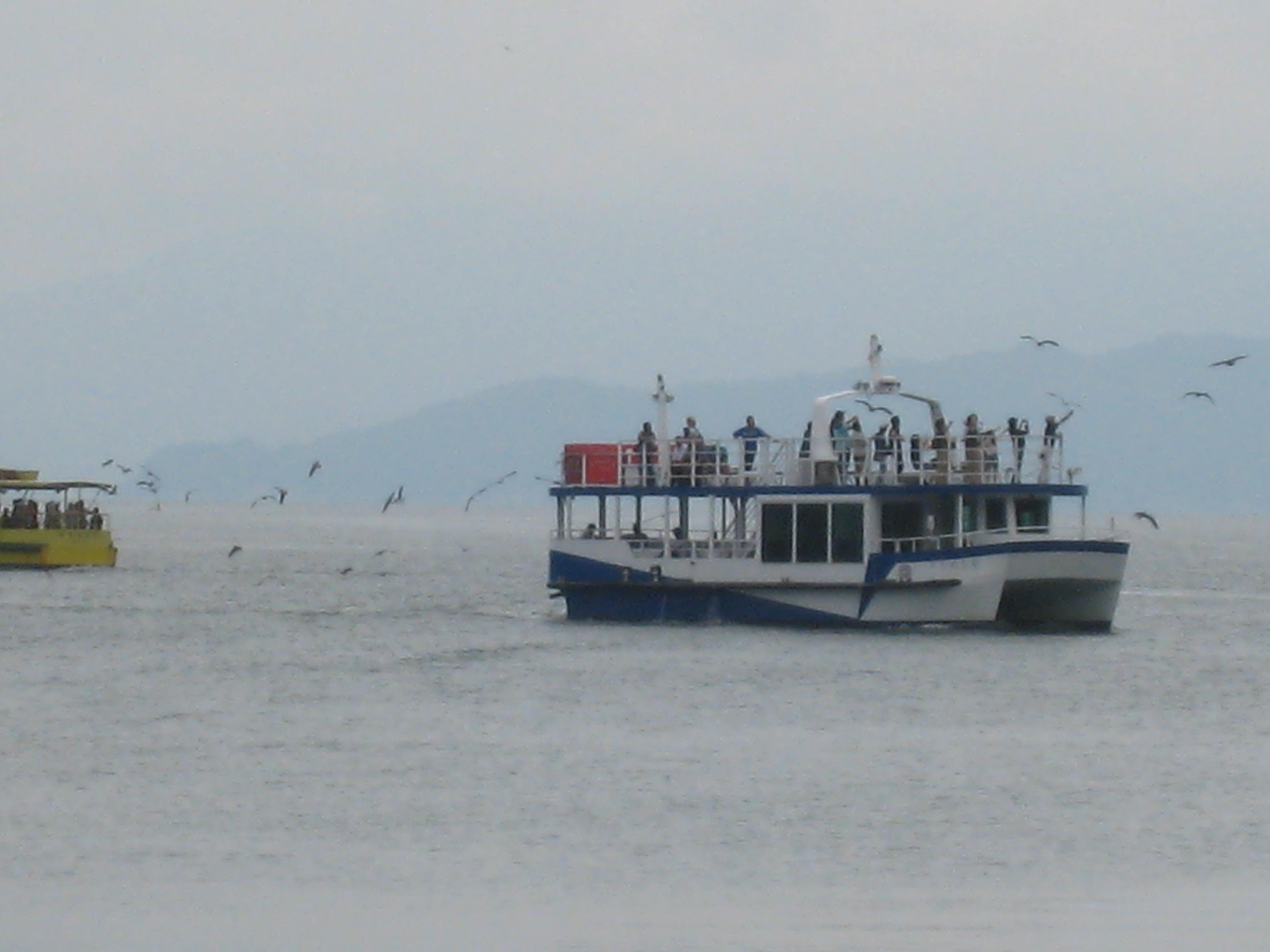 c0073152_2204363.jpg