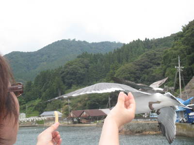 c0073152_2281479.jpg