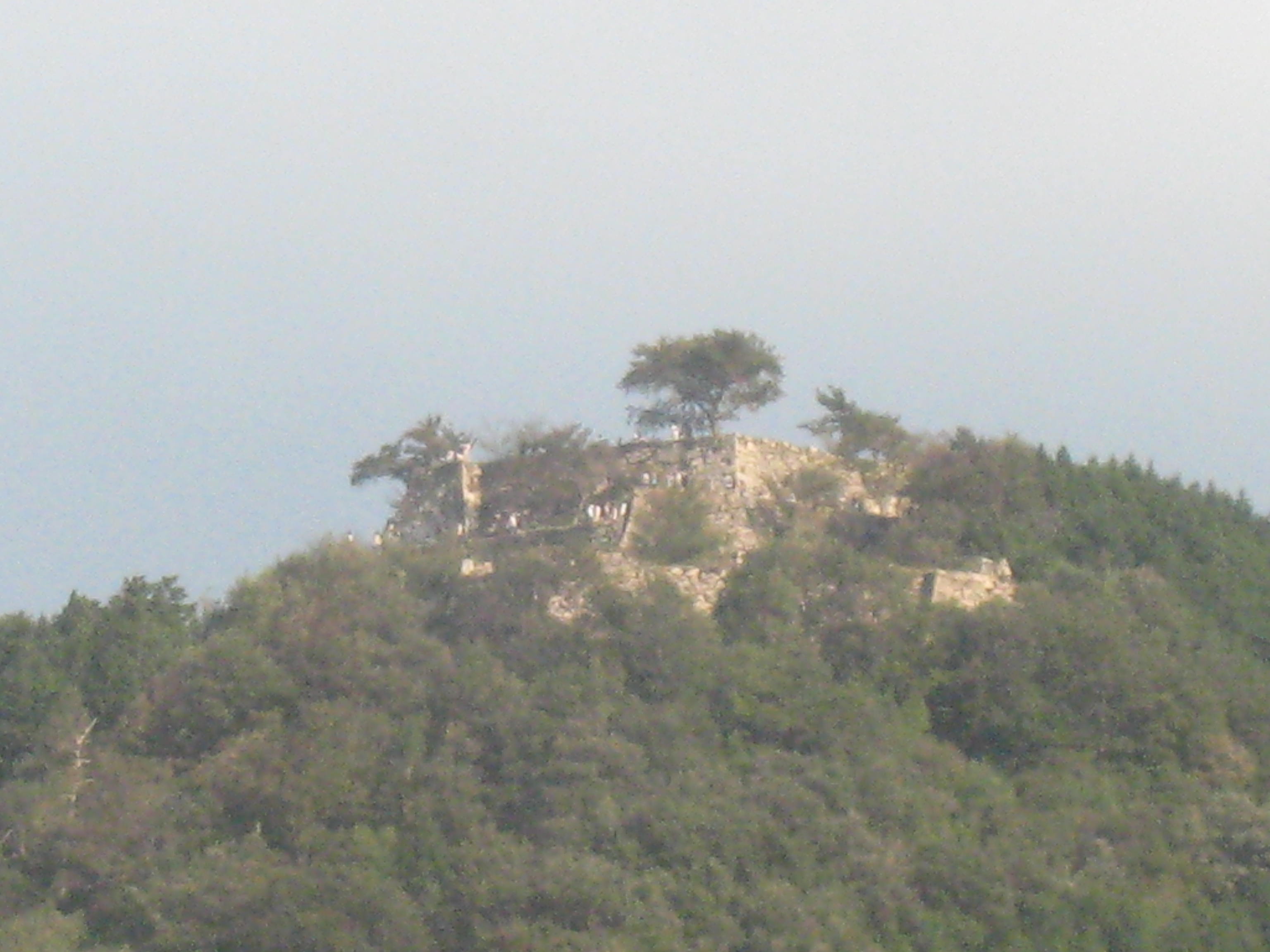 c0073152_2310675.jpg