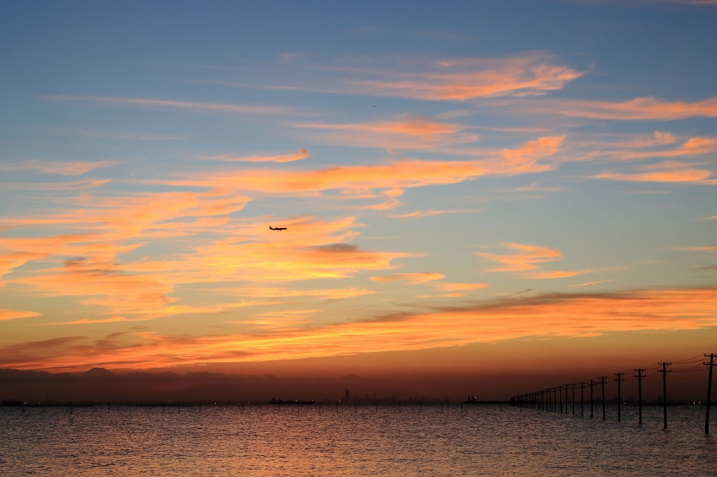 e0229455_0063.jpg