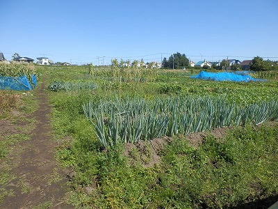 e0004756_20415333.jpg