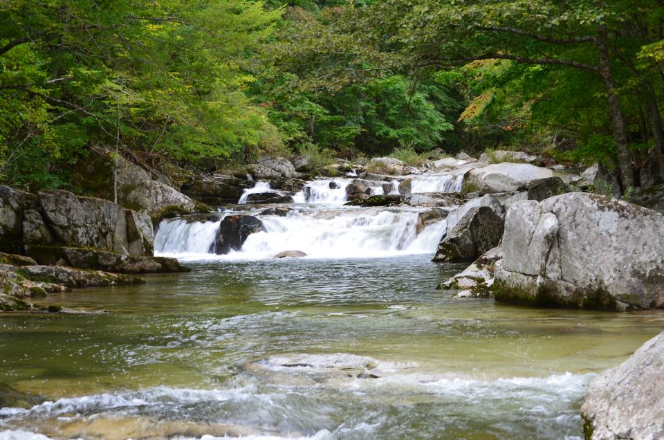 d0283357_2318521.jpg