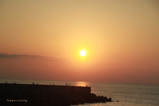 e0170658_1164266.jpg