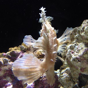 f0221360_18564881.jpg