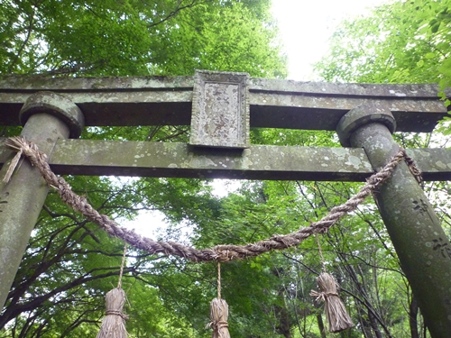 c0222861_22202297.jpg