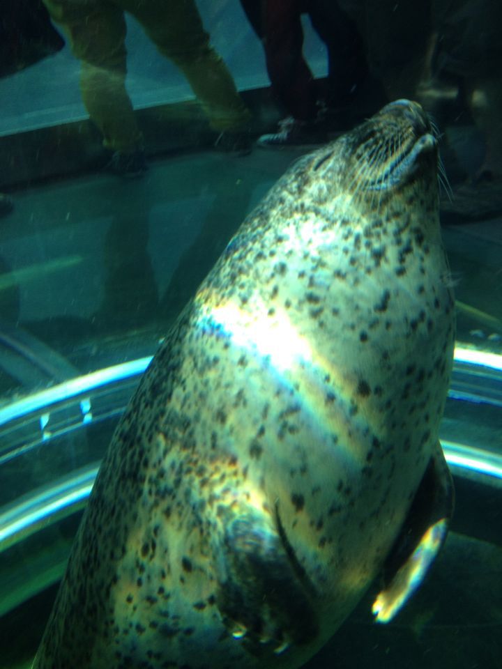 c0198263_8305595.jpg