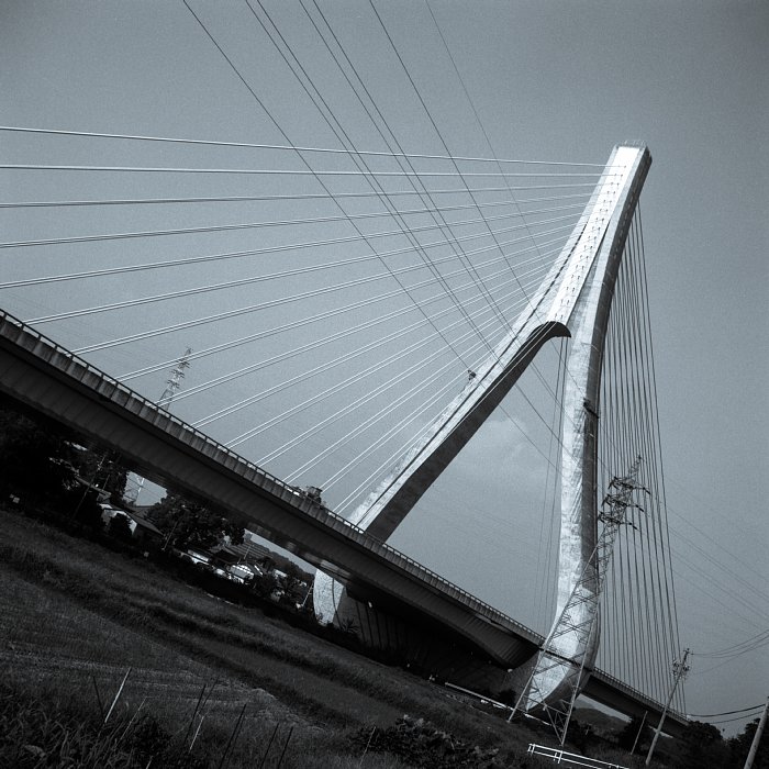b0175964_1144054.jpg