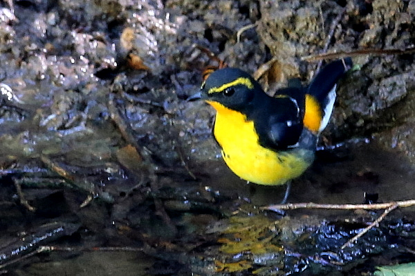 f0215964_8563340.jpg