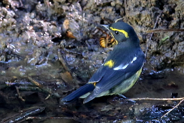 f0215964_8572574.jpg