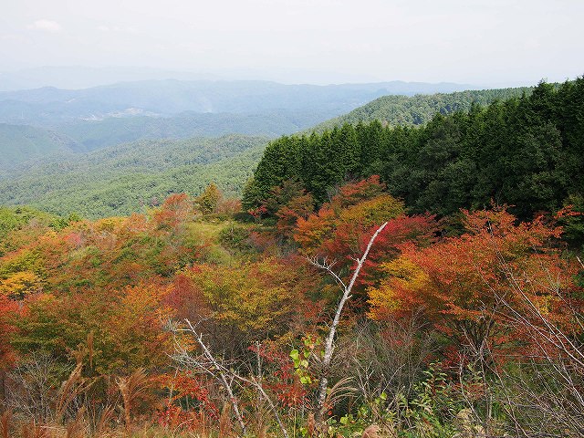 d0128465_11515279.jpg