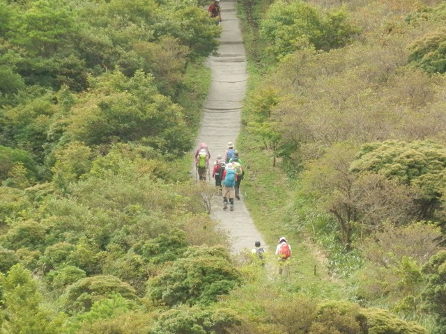 c0042869_1754185.jpg