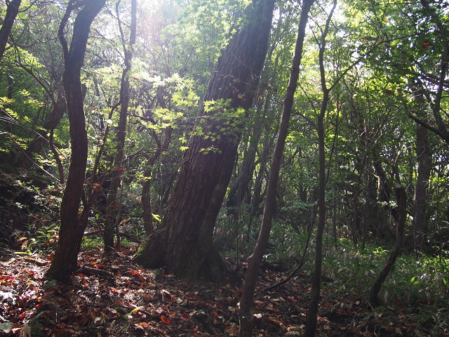 c0042869_1865498.jpg