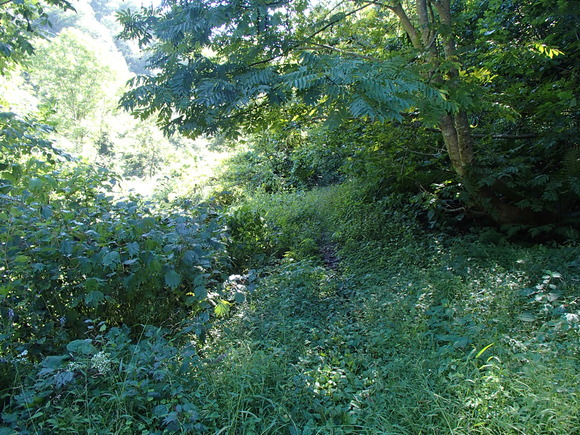 d0042380_2143415.jpg