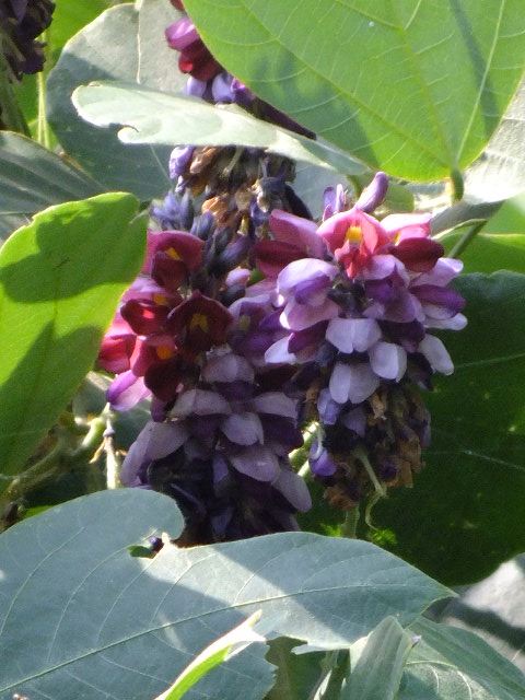 e0145782_1810128.jpg