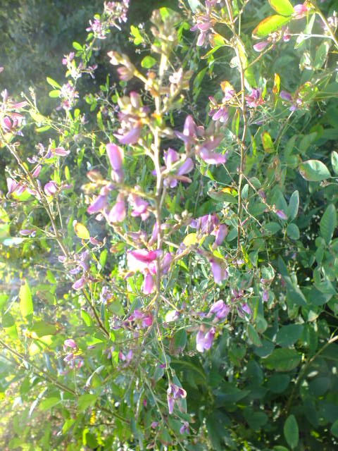 e0145782_18104192.jpg