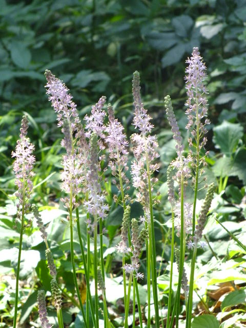 e0145782_18114188.jpg