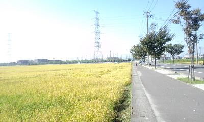 d0261484_14444060.jpg