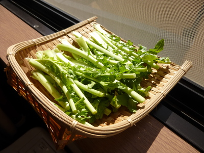 a0257385_9331326.jpg